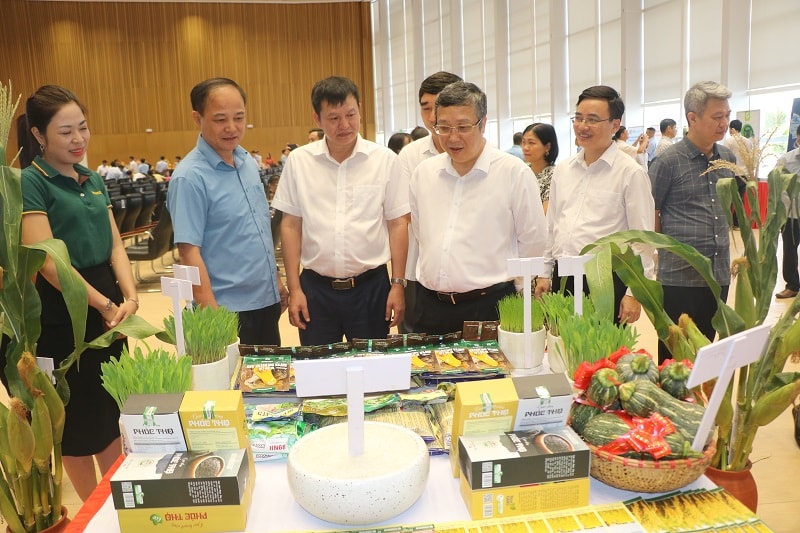 Các tỉnh phía Bắc đặt mục tiêu 5 triệu tấn nông sản