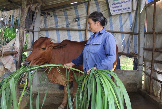 "Trợ lực" cho nông dân chuyển đổi sản xuất, ứng dụng khoa học công nghệ hiện đại