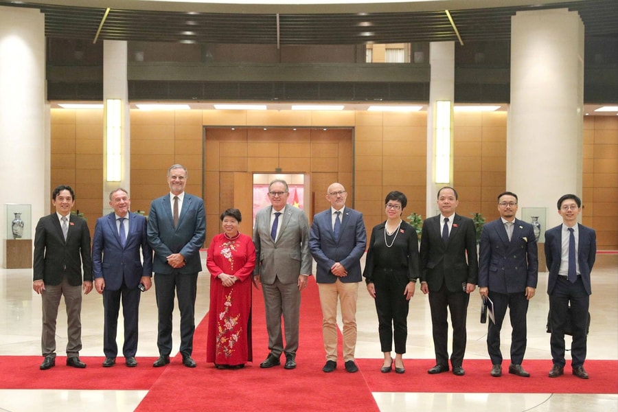 Chủ tịch Nhóm Nghị sĩ hữu nghị Việt Nam - Pháp Nguyễn Thúy Anh hội đàm với Nhóm Nghị sĩ hữu nghị Pháp - Việt