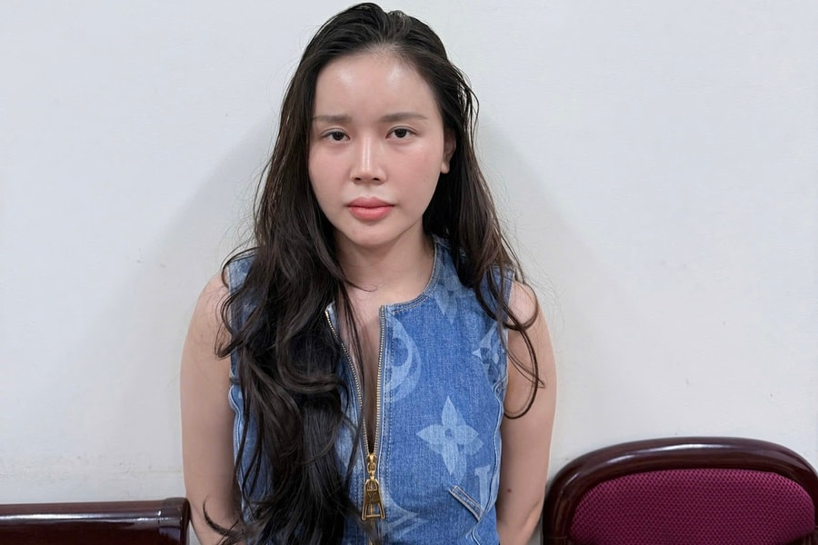 Công an Hà Nội khởi tố đối tượng Lê Hương Ly về tội vu khống