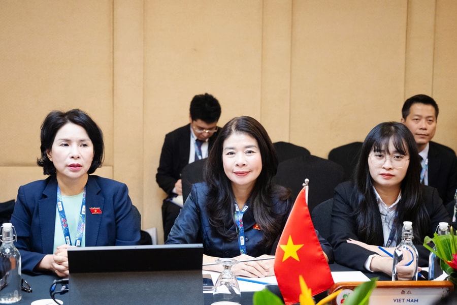 Đoàn Việt Nam đồng bảo trợ sáng kiến mới tại Phiên họp Ủy ban Tổ chức AIPA-46