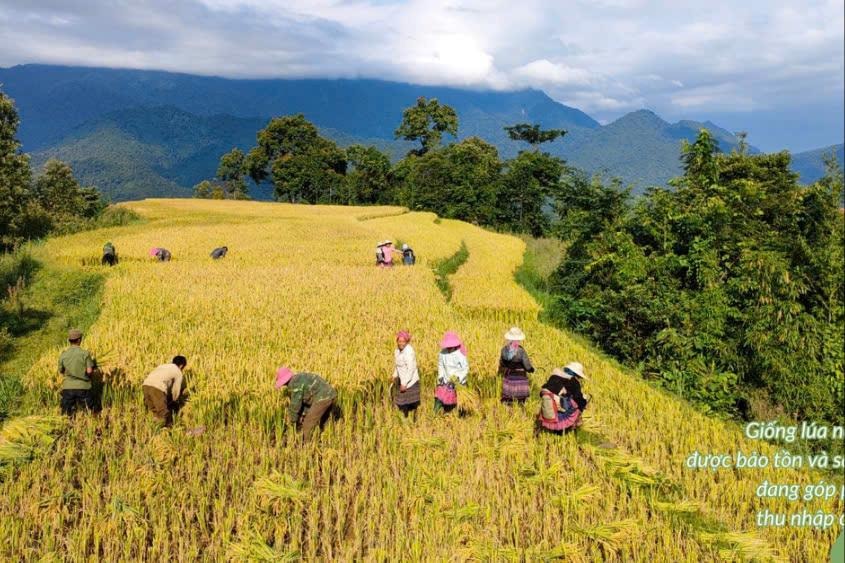 Bài cuối: Tiếp tục là "điểm sáng" trong giảm nghèo