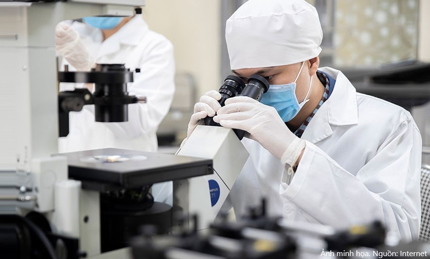 Nhiều nhà khoa học Việt Nam vào top 10.000 nhà khoa học có tầm ảnh hưởng nhất thế giới năm 2025