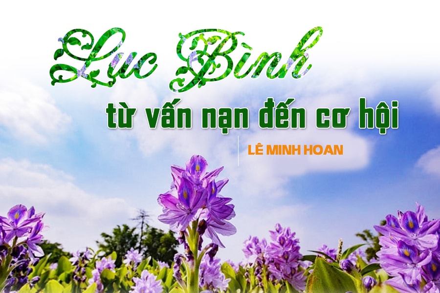 Lục bình - từ vấn nạn đến cơ hội