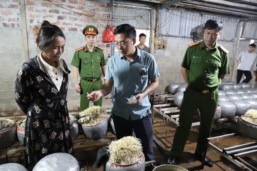 Phát hiện cơ sở dùng chất cấm sản xuất giá đỗ với số lượng lớn