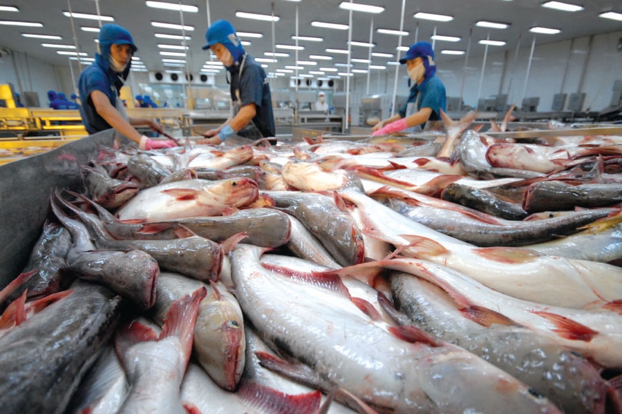 Ngân hàng Nhà nước nâng quy mô tín dụng nông, lâm, thủy sản lên 185.000 tỷ đồng