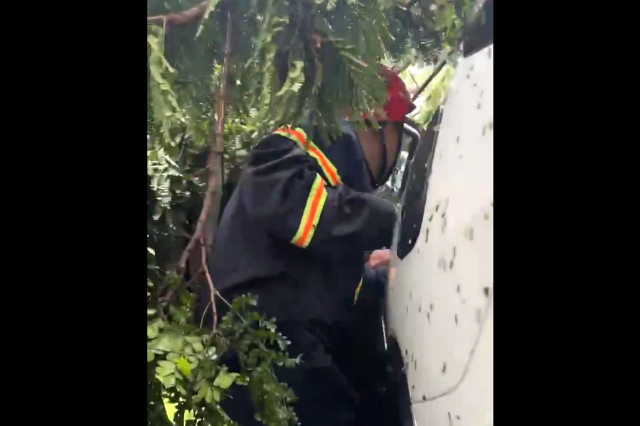 Cảnh sát kịp thời cứu nạn 6 người mắc kẹt trong ô tô bị cây đổ đè