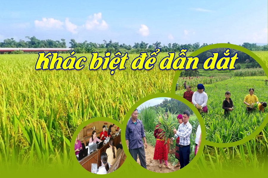 Khác biệt để dẫn dắt