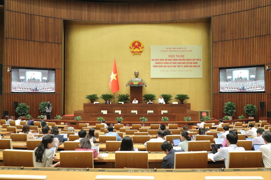 Tạo hành lang pháp lý vững chắc cho hoạt động đào tạo nguồn nhân lực chất lượng cao