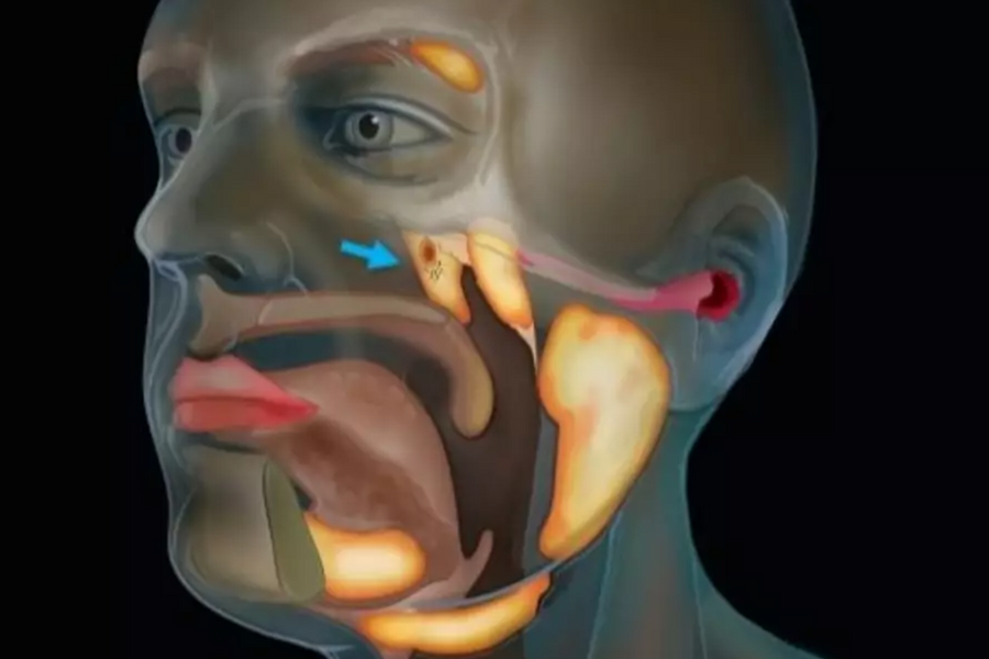 Phát hiện bất ngờ: Tìm thấy cơ quan mới trong cơ thể người