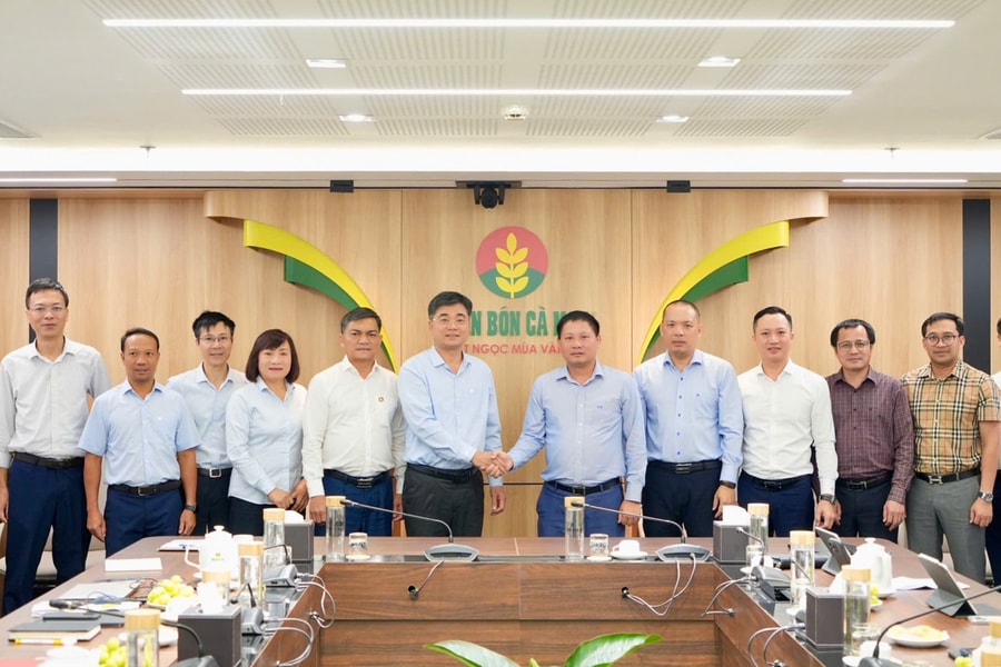 PVCFC - BSR: Tăng cường và mở rộng lĩnh vực hợp tác