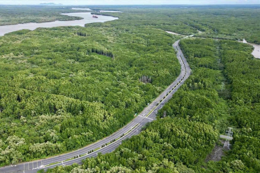 TP. Hồ Chí Minh: Những dự án nào được tạm sử dụng rừng để thực hiện thi công công trình tạm?