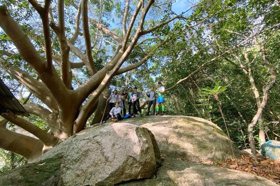 "Trị liệu rừng” - Kết nối thiên nhiên và chữa lành tâm hồn