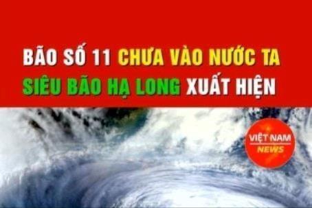 Thực hư tin đồn về bão Hạ Long và bão số 12