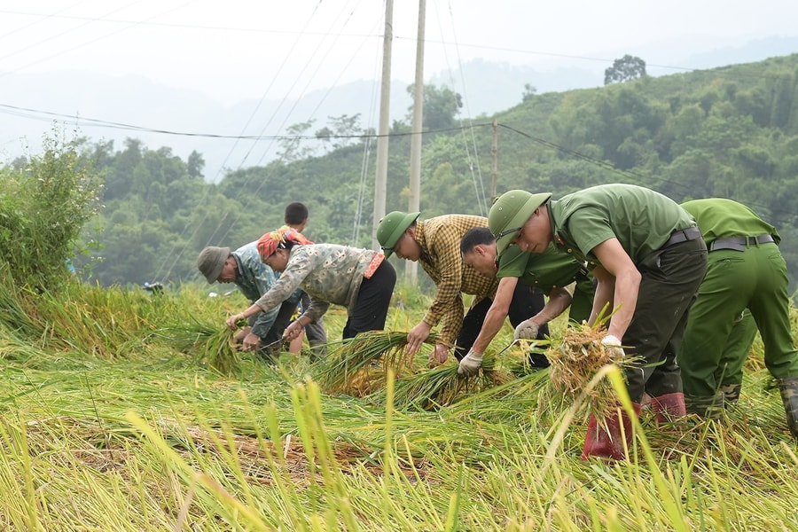 Lào Cai: Tập trung phòng chống, ứng phó với cơn Bão số 11
