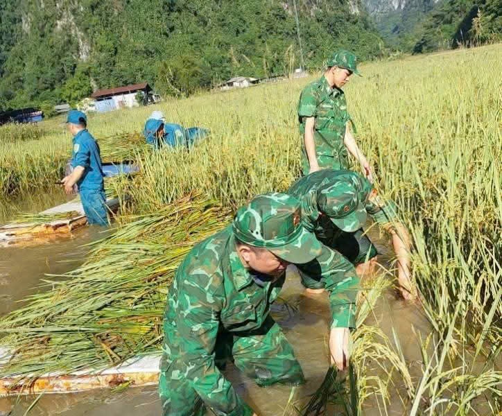 Cán bộ chiến sĩ Đồn biên phòng tỉnh Tuyên Quang và Cao Bằng tích cực giúp dân ứng phó bão số 11