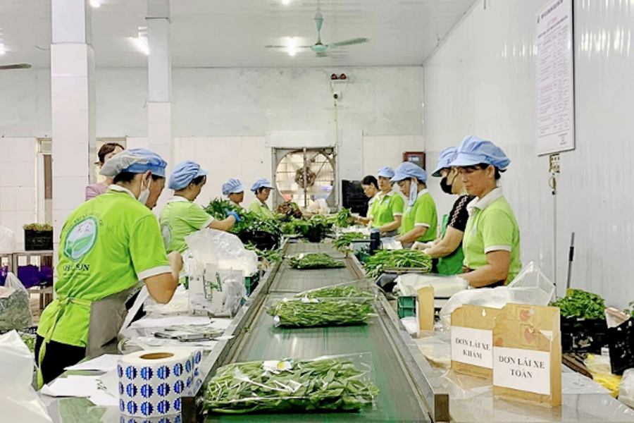 Hà Nội: Đẩy mạnh sản xuất nông nghiệp an toàn, hướng tới phát triển bền vững