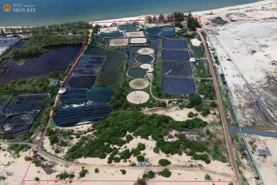 Vụ bồi thường “0 đồng” về đất tại KCN Sơn Mỹ I: Một phán quyết hợp tình, hợp lý sẽ tạo đà phát triển cả vùng