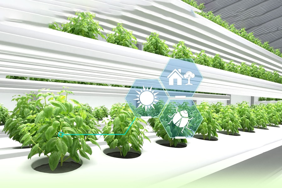 Tư duy lại về Khu nông nghiệp công nghệ cao