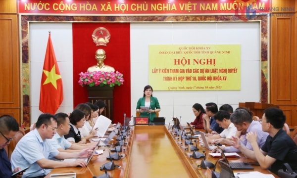 Đoàn ĐBQH tỉnh Quảng Ninh lấy ý kiến tham gia dự án Luật Báo chí (sửa đổi) và Luật Viên chức (sửa đổi)