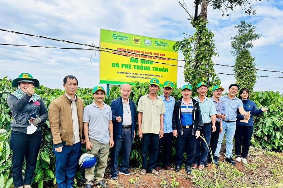 Đổi mới tư duy và xây dựng quy trình canh tác cà phê hiện đại, thích ứng biến đổi khí hậu