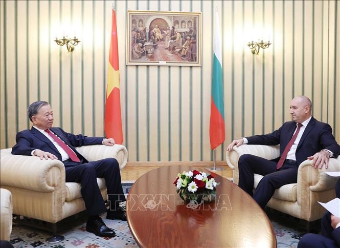 Tổng Bí thư Tô Lâm hội đàm với Tổng thống Bulgaria Rumen Radev