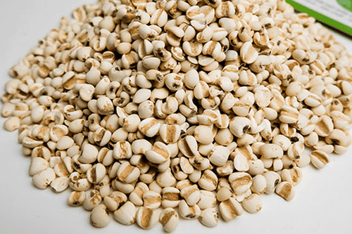 Dược liệu Ý dĩ không đạt tiêu chuẩn chất lượng lưu hành, Bộ Y tế yêu cầu thu hồi