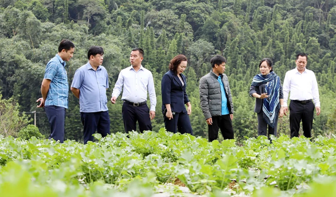 Tạo động lực phát triển bền vững khu vực miền núi