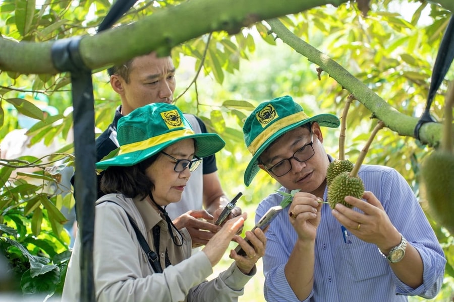 Hiệu quả thực tiễn từ dự án "Canh tác cà phê thông minh"