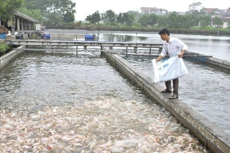 Đổi mới công nghệ, nâng tầm phát triển ngành nuôi trồng thủy sản