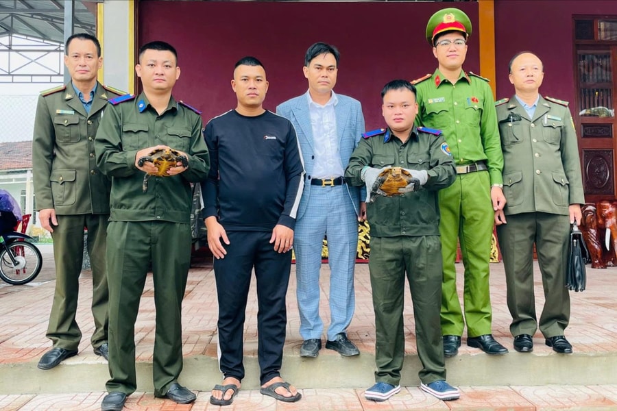 Bàn giao hai cá thể rùa quý hiếm cho Vườn Quốc gia Vũ Quang