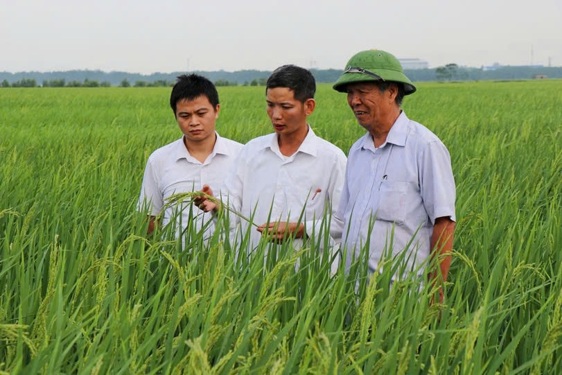 Xây dựng chuỗi liên kết khép kín, phát triển nông nghiệp sinh thái