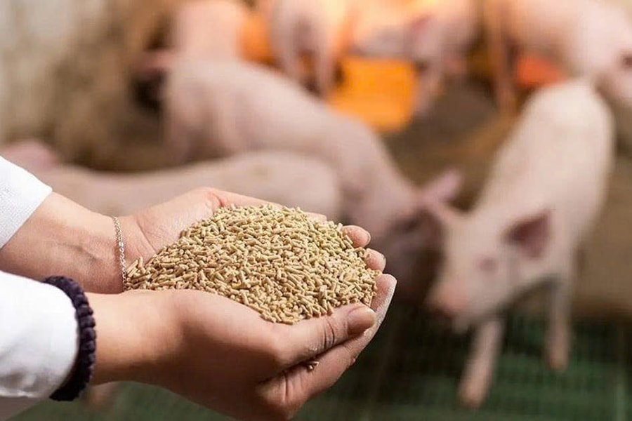 Gỡ vướng thuế giá trị gia tăng cho nông sản, thức ăn chăn nuôi