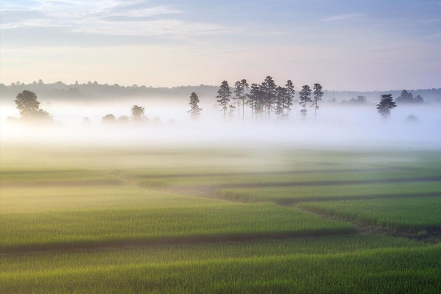 Giữa hữu hình và vô hình