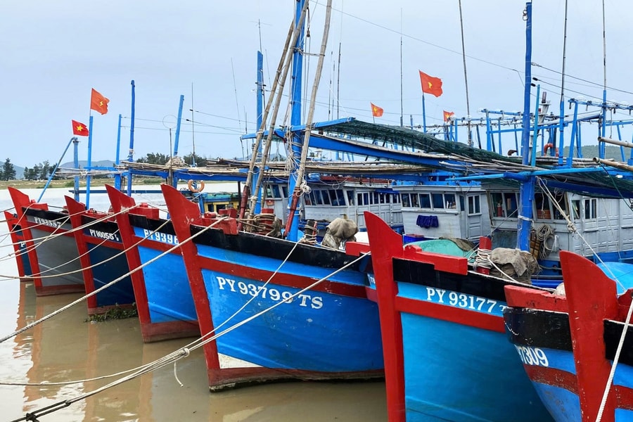 Đắk Lắk: Yêu cầu niêm phong 100% tàu cá không đủ điều kiện ra khơi, tránh vi phạm IUU