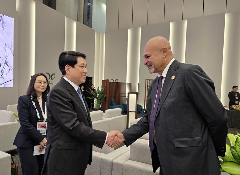 Chủ tịch nước Lương Cường gặp lãnh đạo một số thành viên APEC