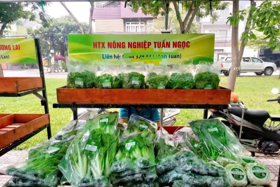 TP. Hồ Chí Minh: Triển khai nhiều giải pháp hỗ trợ phát triển kinh tế tập thể