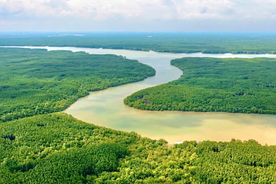 TP. Hồ Chí Minh: Giữ nguyên hiện trạng, diện tích rừng phòng hộ Cần Giờ