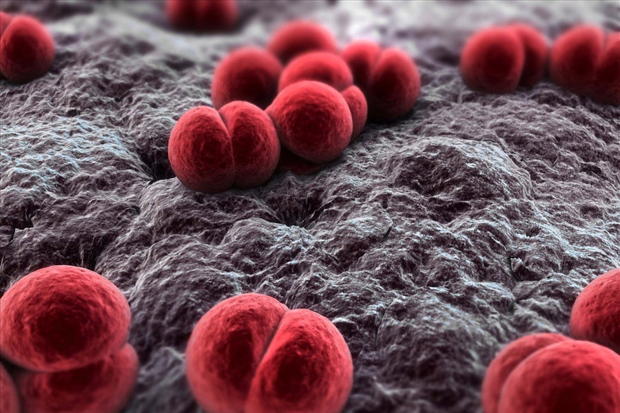 Ghi nhận ca mắc não mô cầu, Hà Nội khuyến cáo phòng dịch bệnh truyền nhiễm nguy hiểm