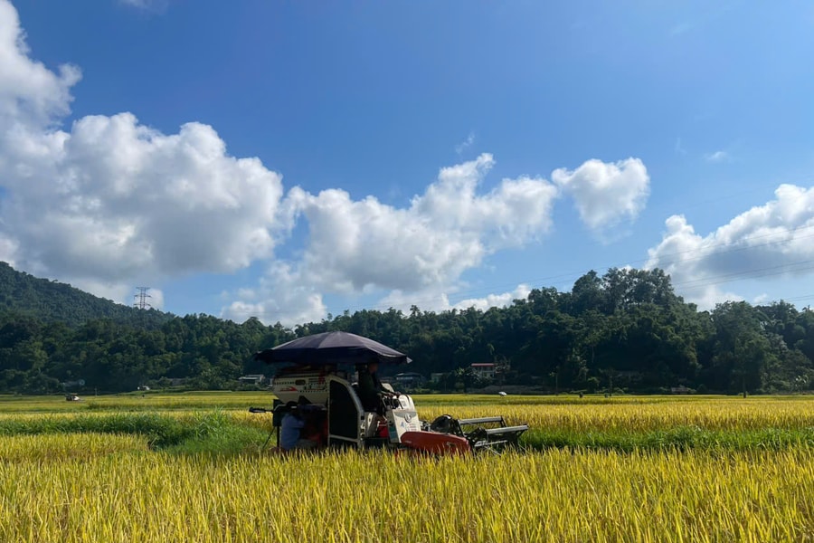 Thái Nguyên giảm nghèo bền vững từ những cách làm phù hợp thực tiễn