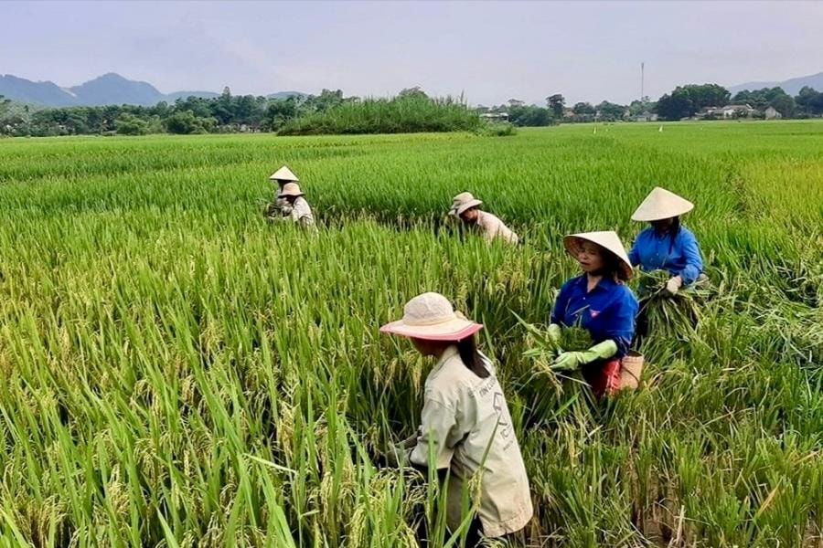 Thanh Hóa tạo sinh kế, khơi dậy ý chí thoát nghèo