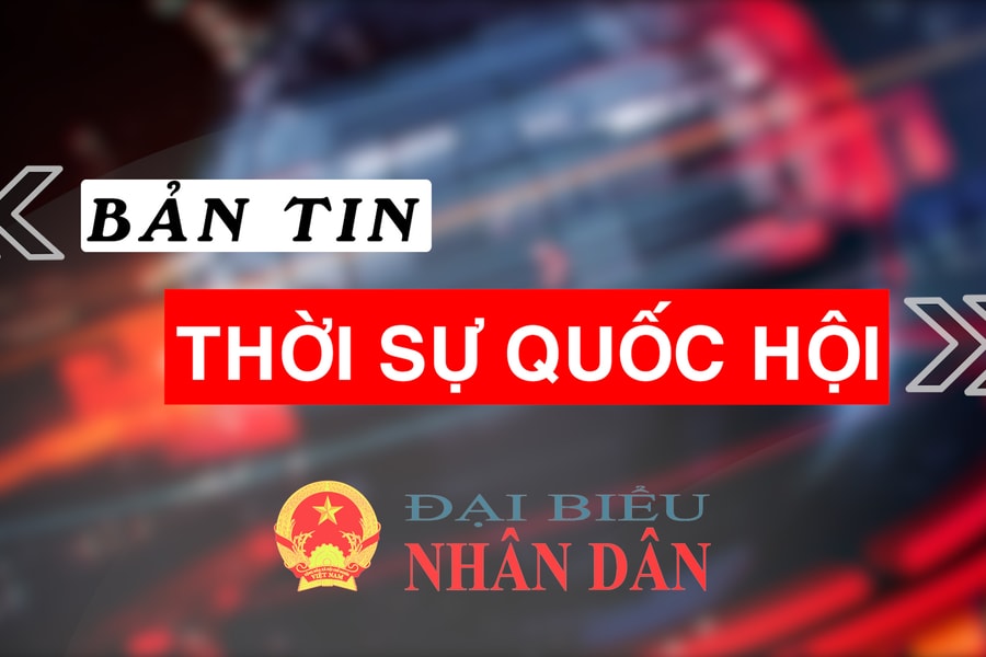 Bản tin Thời sự Quốc hội ngày 14/11/2025