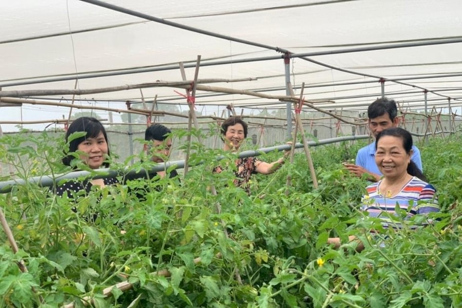 Phát triển sản phẩm từ các vùng chuyên canh