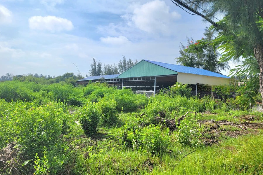 TP. Hồ Chí Minh: UBND cấp xã thực hiện mức hỗ trợ liên quan thu hồi đất đã ủy quyền cho cấp huyện trước đây