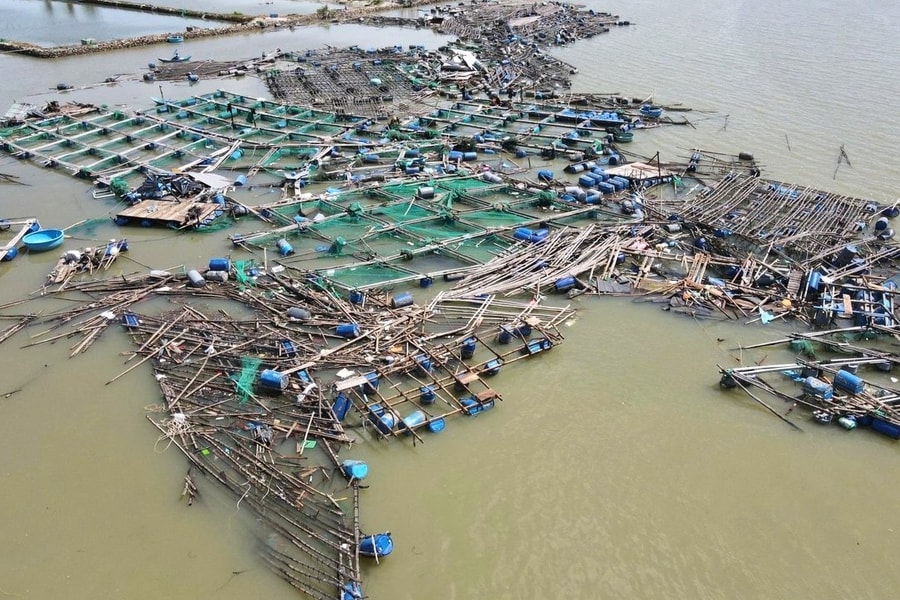 Đắk Lắk: Đề xuất nhiều giải pháp phục hồi ngành thủy sản sau bão số 13