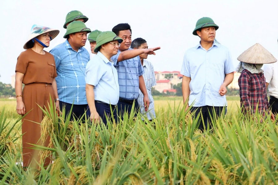 Xây dựng nền nông nghiệp Thủ đô đa giá trị và phát triển bền vững