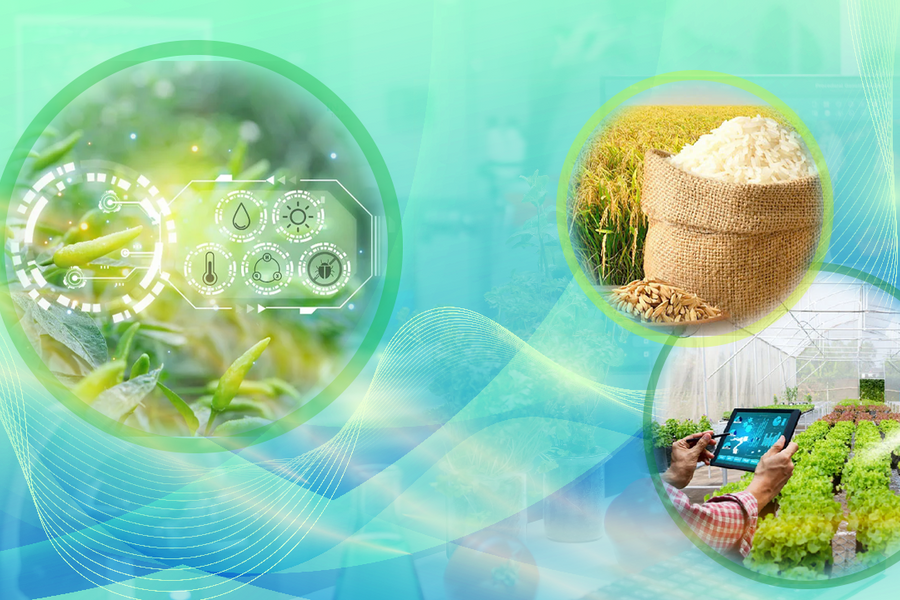 Đổi mới tư duy để nông nghiệp đi xa và bền vững