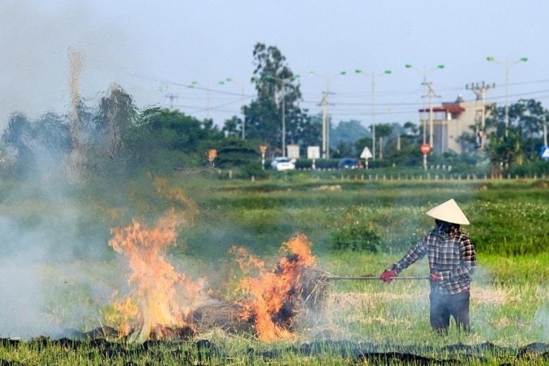 Hoàn thiện thể chế, thúc đẩy chuyển đổi xanh hướng tới mục tiêu Net Zero