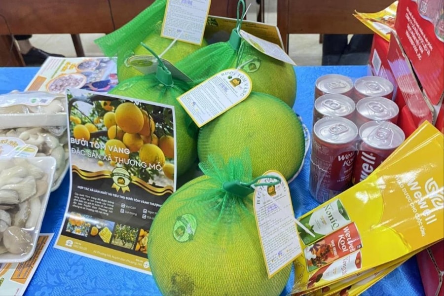 Xã Đan Phượng tạo ra sức bật mới cho kinh tế nông thôn