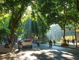 Dự báo thời tiết ngày 14/11: Miền Bắc có nắng, miền Nam mưa dông từ chiều tối